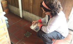 Volare na luta contra o Aedes aegypti