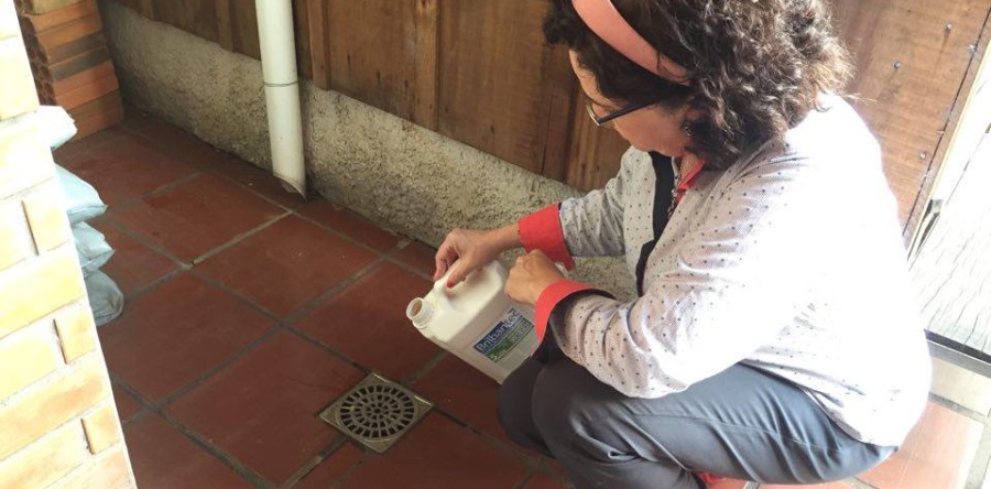 Volare na luta contra o Aedes aegypti